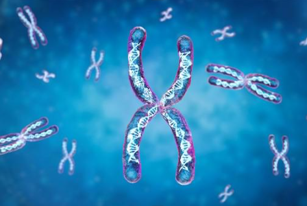 Le mutazioni in DDX3X sono una causa comune di disabilità intellettiva inspiegabile con effetti specifici per genere sulla segnalazione Wnt